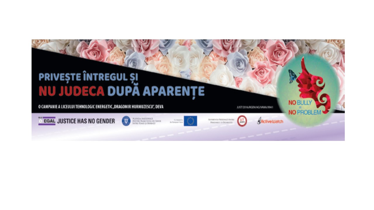 Banner campanie Liceul Tehnologic Energetic "Dragomir Hurmuzescu", Deva